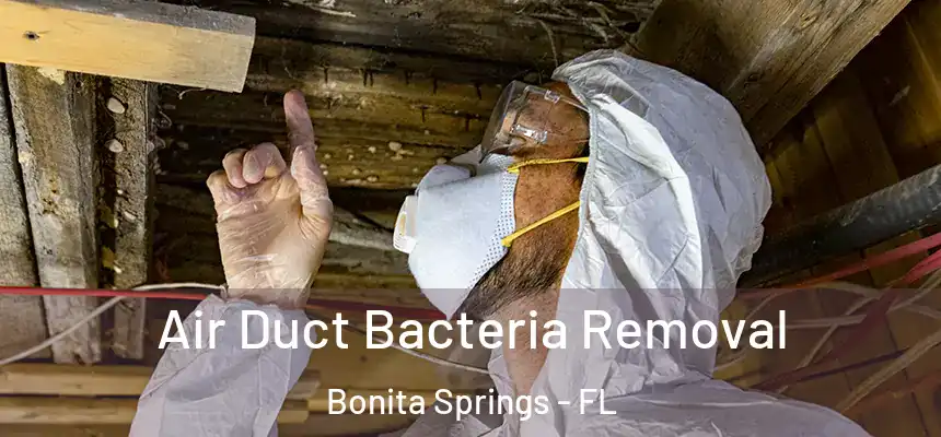  Air Duct Bacteria Removal Bonita Springs - FL