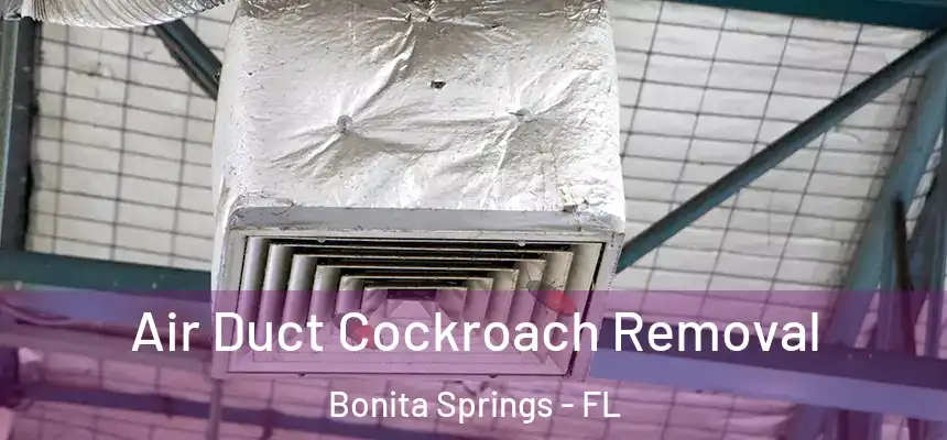  Air Duct Cockroach Removal Bonita Springs - FL