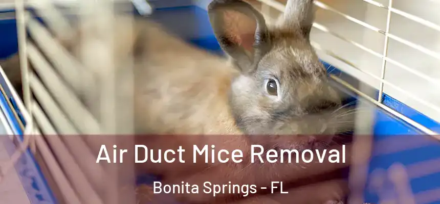  Air Duct Mice Removal Bonita Springs - FL