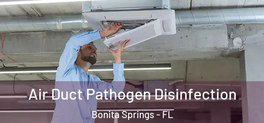 Air Duct Pathogen Disinfection Bonita Springs - FL