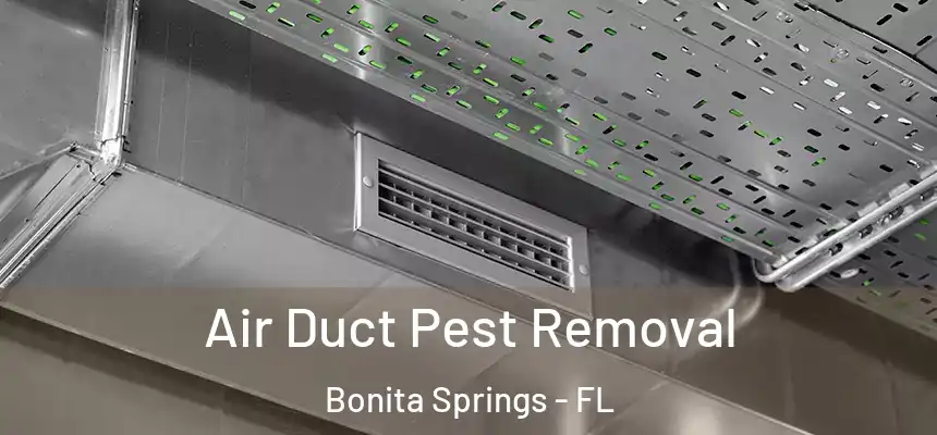  Air Duct Pest Removal Bonita Springs - FL