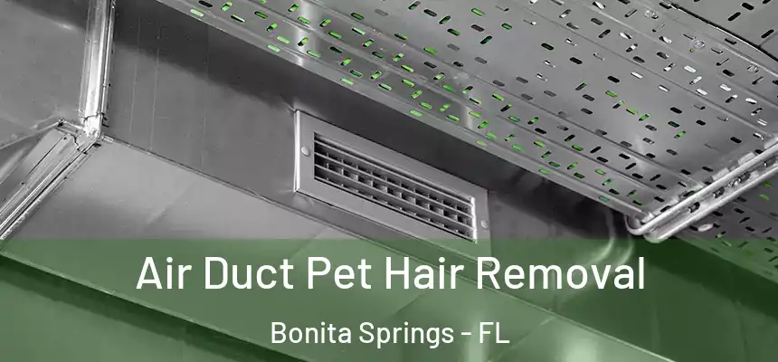  Air Duct Pet Hair Removal Bonita Springs - FL