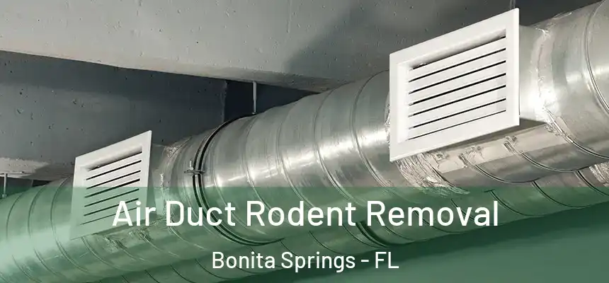  Air Duct Rodent Removal Bonita Springs - FL