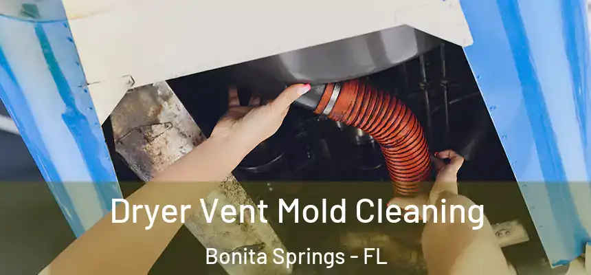  Dryer Vent Mold Cleaning Bonita Springs - FL
