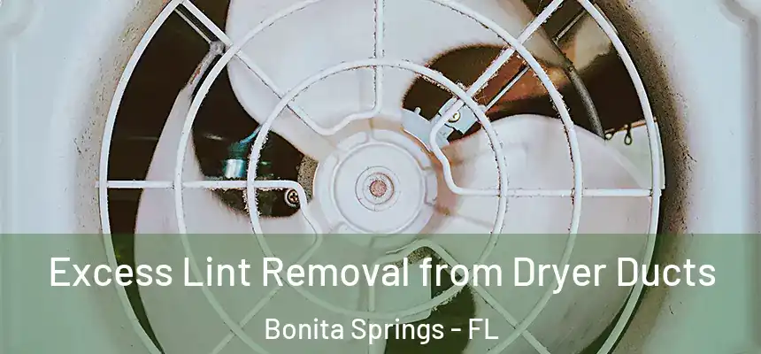 Excess Lint Removal from Dryer Ducts Bonita Springs - FL