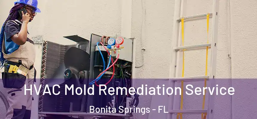  HVAC Mold Remediation Service Bonita Springs - FL