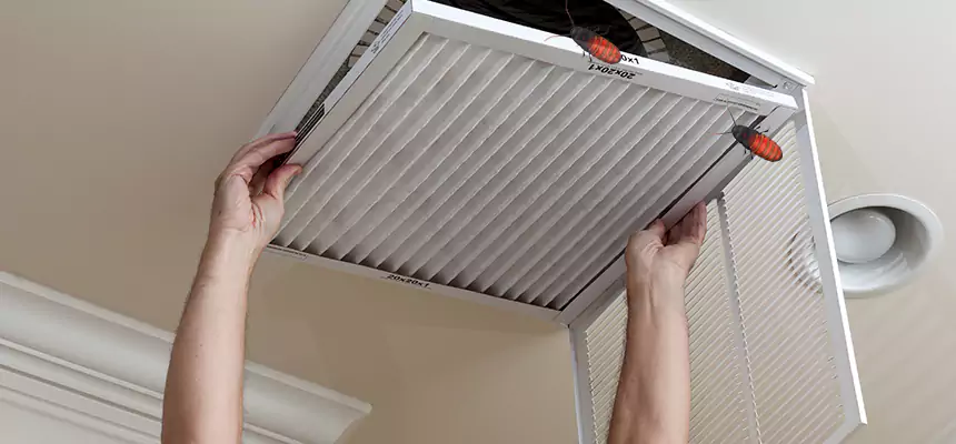 Preventive Cockroach-Proofing for Ducts in Bonita Springs