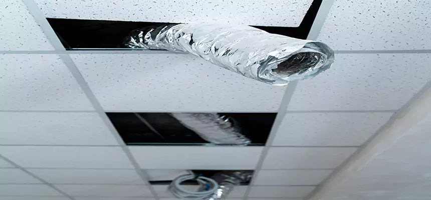 Affordable HVAC Sanitizing After Pest Removal in Bonita Springs