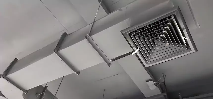 Restorative Allergy Relief Vent Cleaning – Coil, Blower & Housing Detail in Bonita Springs