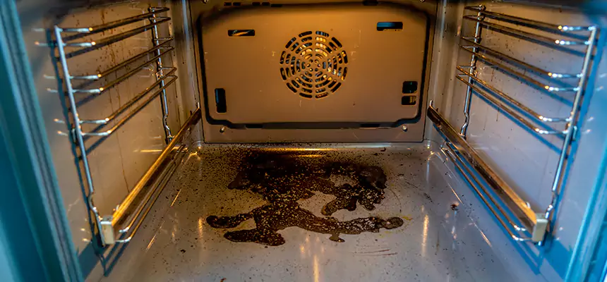 Our Dryer Vent Mold Cleaning Services in Bonita Springs, FL