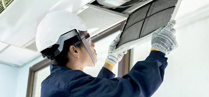 Our Mold & Mildew Removal from Air Ducts Services in Bonita Springs, FL