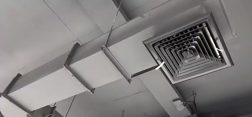 Our Pest Removal From Ducts Services in Bonita Springs, FL