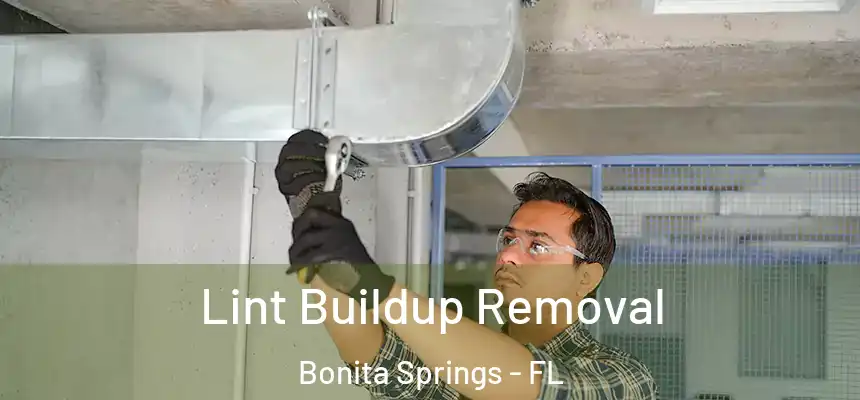 Lint Buildup Removal Bonita Springs - FL