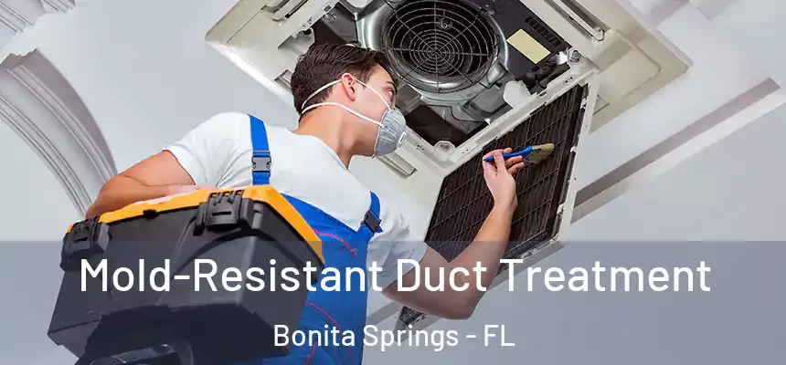  Mold-Resistant Duct Treatment Bonita Springs - FL