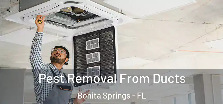 Pest Removal From Ducts Bonita Springs - FL