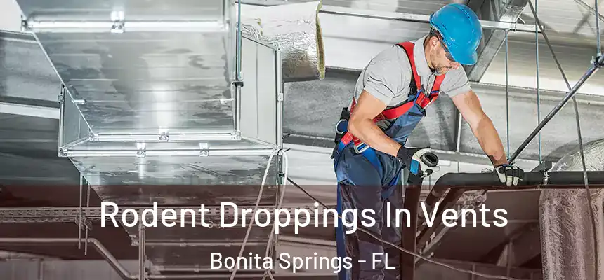 Rodent Droppings In Vents Bonita Springs - FL