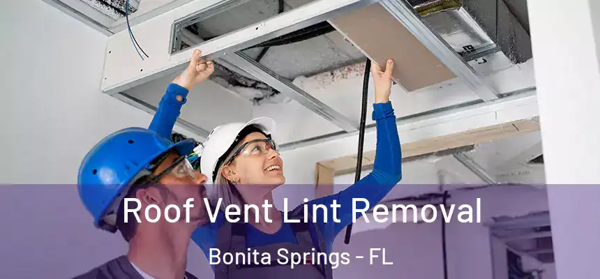  Roof Vent Lint Removal Bonita Springs - FL