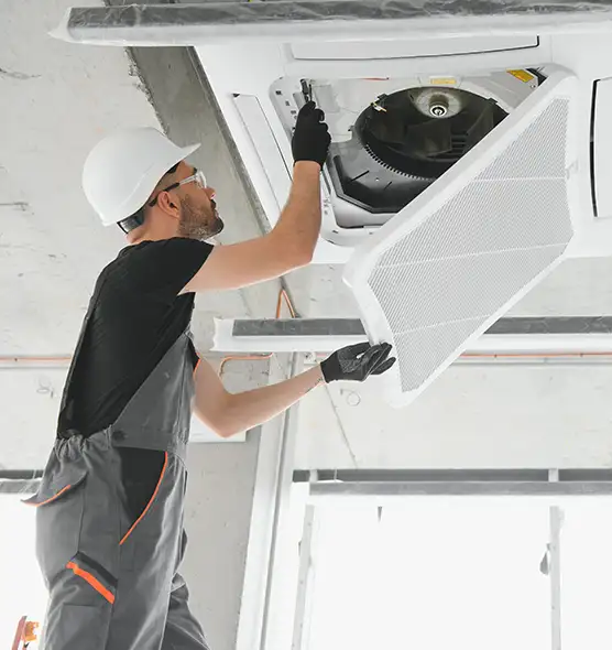 About Air Duct Rodent Removal in Bonita Springs, FL