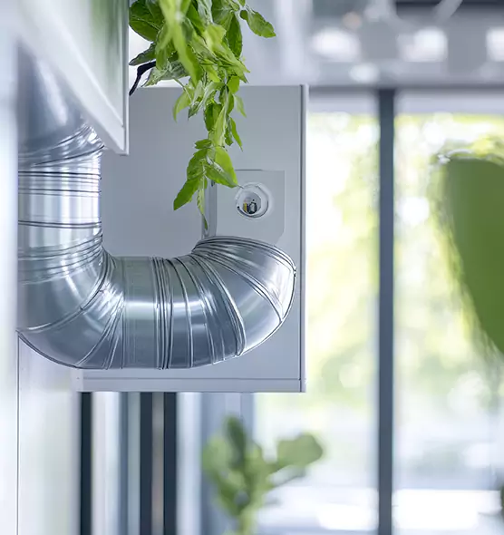 Professional Eco-Friendly Duct Cleaning Services in Bonita Springs, FL