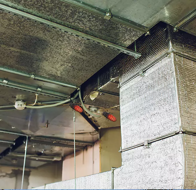 Why Homeowners & Businesses Trust Us in Bonita Springs, FL?