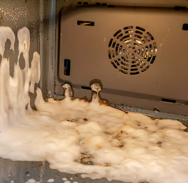 Why Homeowners & Businesses Trust Us in Bonita Springs, FL?