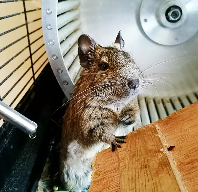 Why Homeowners & Businesses Trust Us Bonita Springs, FL