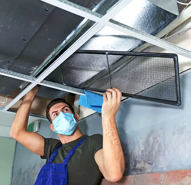 Why Homeowners Businesses Trust Us in Bonita Springs, FL