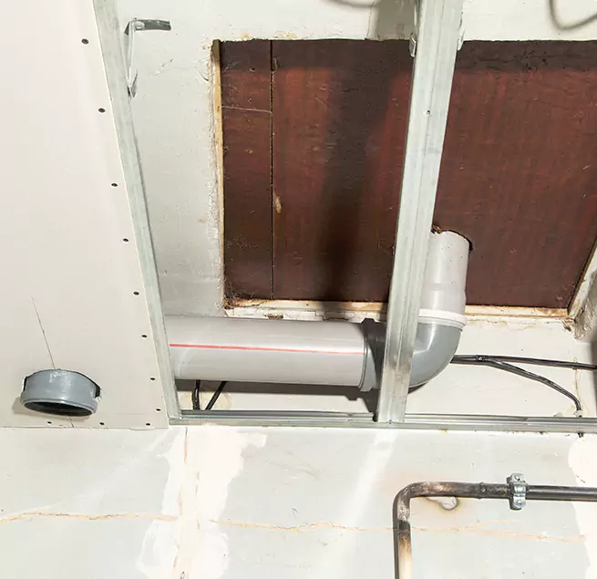 Why Homeowners & Businesses Trust Us in Bonita Springs, FL?