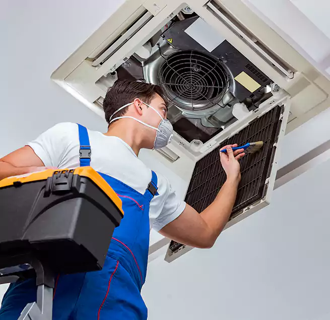 Why Homeowners & Businesses Trust Us in Bonita Springs, FL