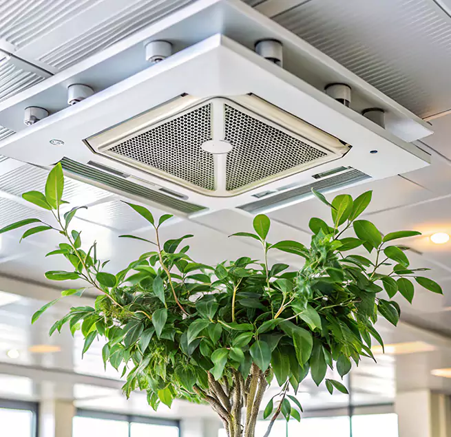 Why Homeowners & Businesses Trust Us in Bonita Springs, FL?