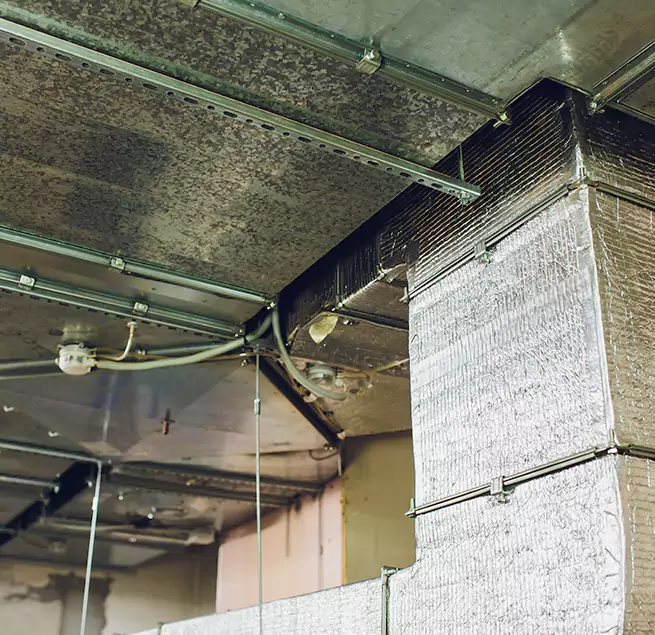 Why Homeowners & Businesses Trust Us in Bonita Springs, FL?